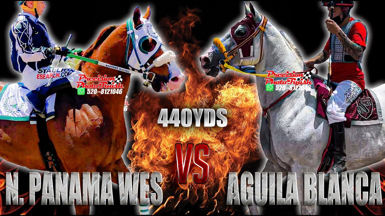 Panama Wes vs Aguila Blanca Video completo - YouTube