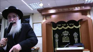 הרב יהודה יוספי מגיד מישרים בכולל ''יביע אומר''   פרשת אמור תשע''ג