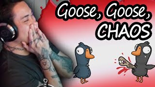 No One Will Trust Me Stream Highlights