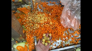 Máy Thái Rau Củ Quả Đa Năng YQC-803 Cho Các Bếp Công Nghiệp| Điện Máy 3G