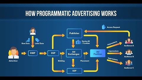 “How Does Programmatic Bidding Actually Work? 🚀 Explained Simply & Fast!”|| @NoSkipsAllowed