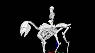 Conde Visual3D