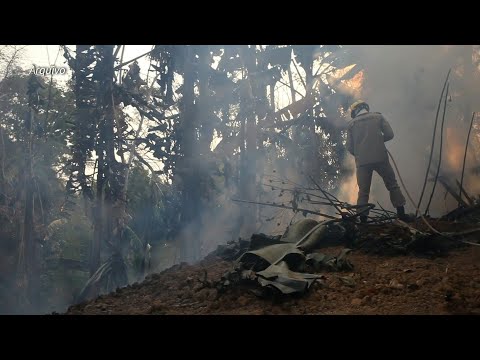 Aumento de incêndios na Amazônia | AFP