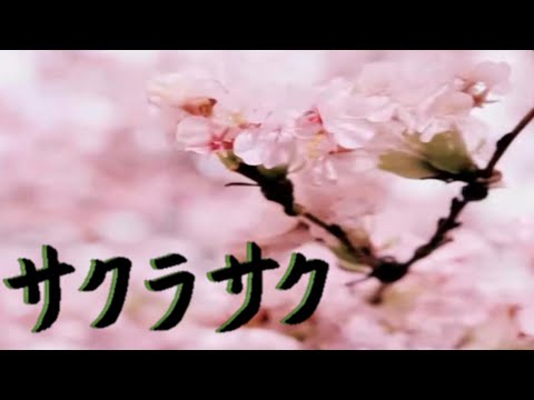 サクラサク　北乃きい