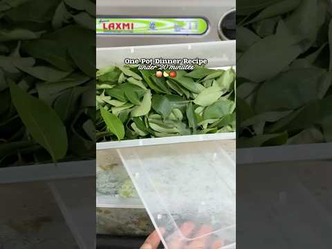 cook dinner with