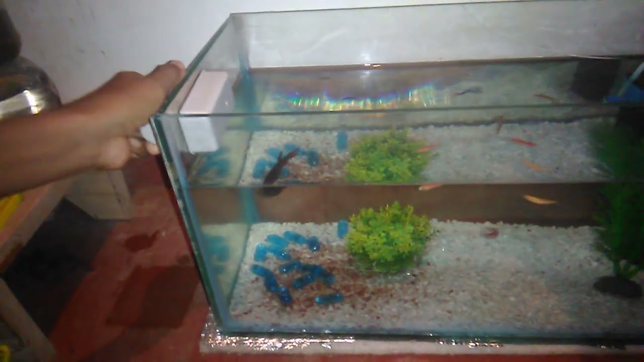 how to clean our fish tank glass