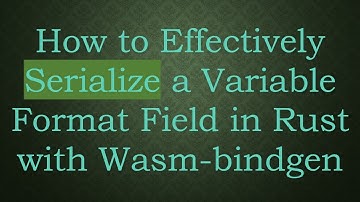 How to Effectively Serialize a Variable Format Field in Rust with Wasm-bindgen