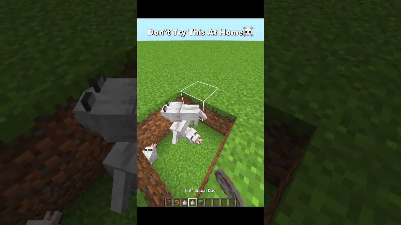 Minecraft Sheep Moment 
