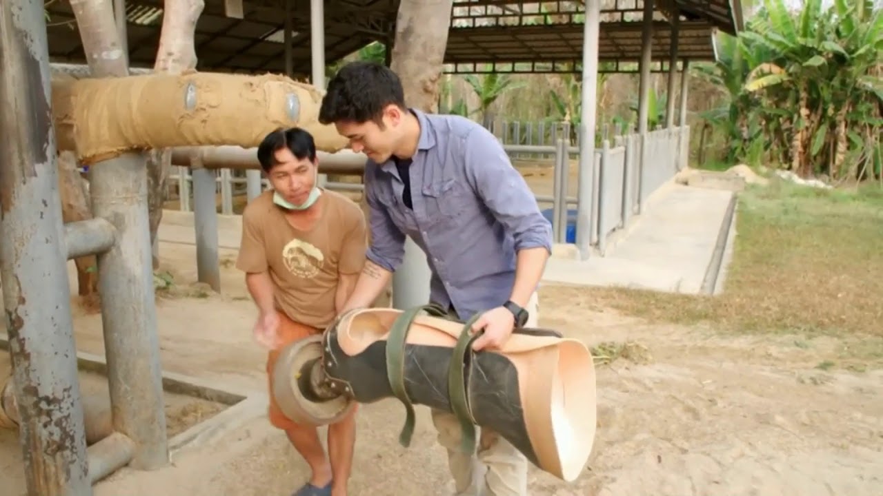 Lampang Elephant Hospital
