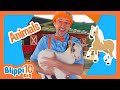 Blippi's Top Ten Animal Friends! | BEST OF BLIPPI TOYS | Educational Videos for Kids