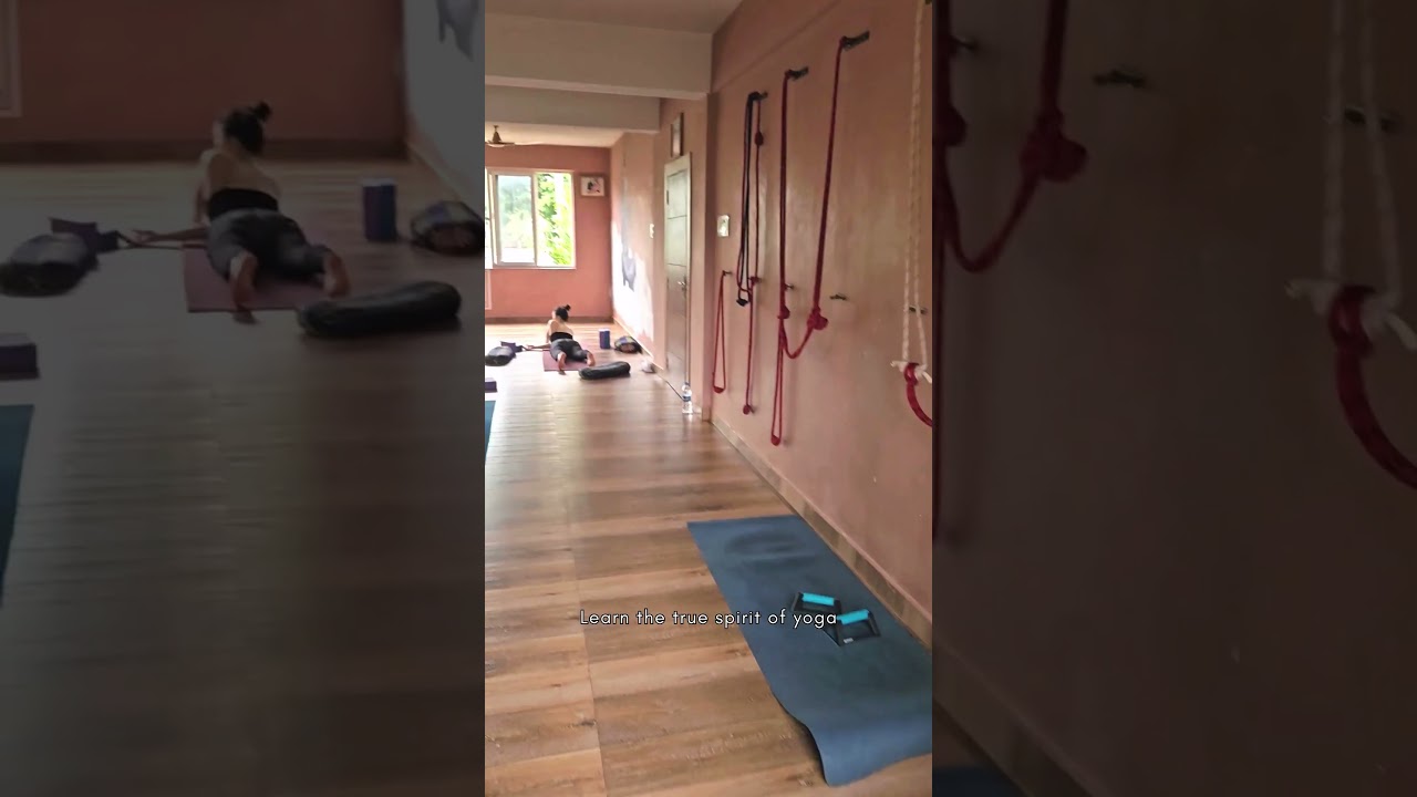 Learn the true spirit of yoga - Join a 200hour Yoga Teacher Training in Goa at AYM Yoga School | gym