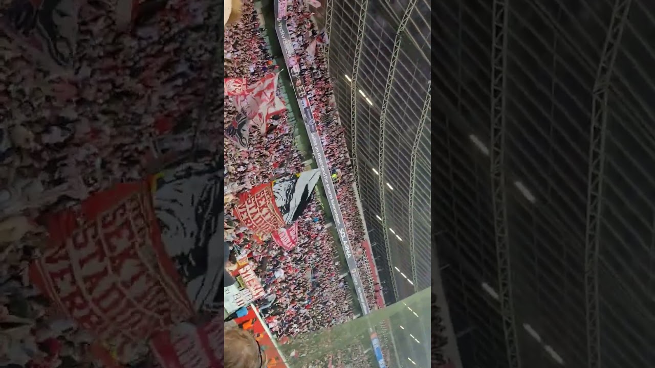 Colonia FC❤️🤍 