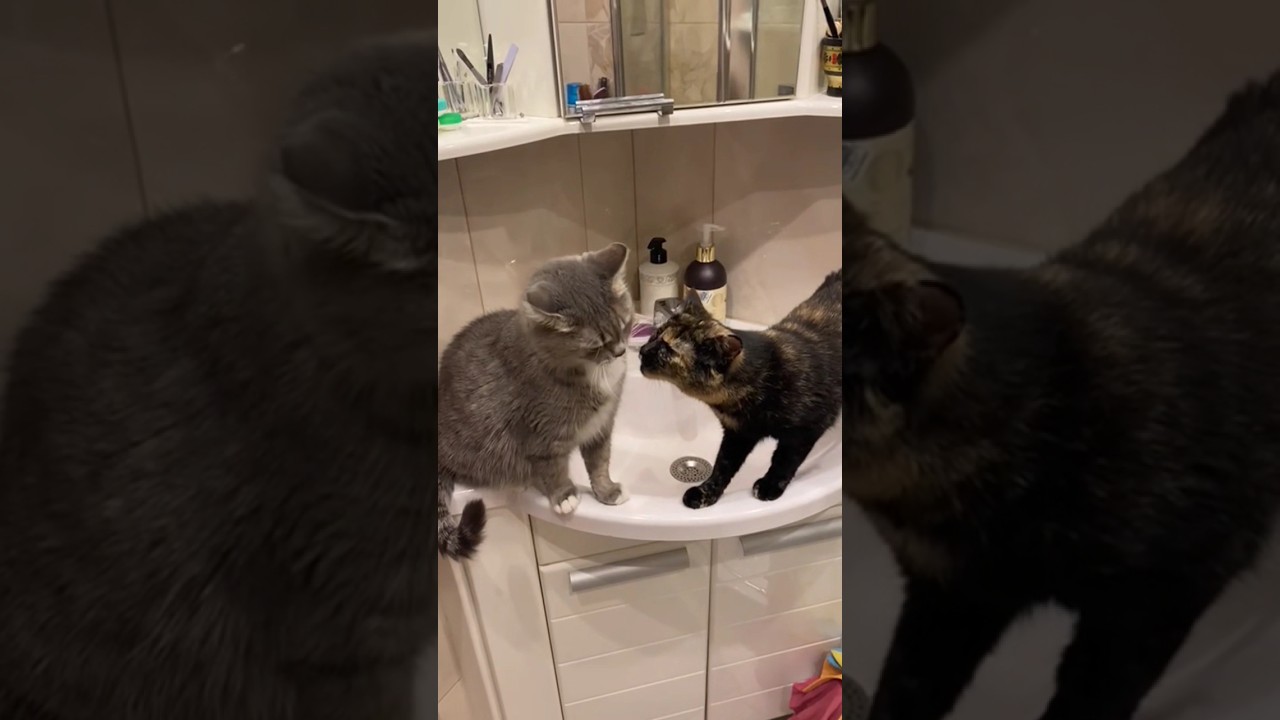 Ума и Диана♥️ 