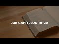 Job captulos 1620 la biblia rv1960