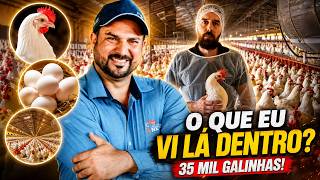 VISITEI uma GRANJA de 35.000 galinhas e o que vi por dentro MUDOU MINHA VISÃO