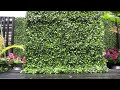 How to create your own faux boxwood privacy screen wall