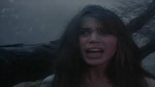 Bone Chills The Howling 4 The Original Nightmare