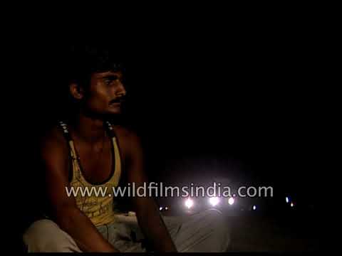 brothels, sex workers, jaipur, bombay, STDs, AIDS awareness, interview, hea...