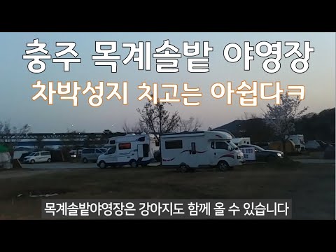 차박성지 충주 목계솔밭야영장 치명적 단점ㅣ밤에만 좋다ㅣ카니발 <strong>차박여행</strong>