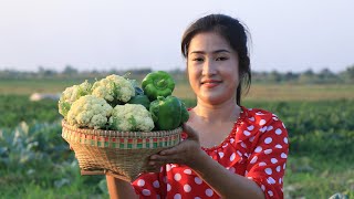 Harvest Cauliflowers And Bell Pepper / Stir Fried Cauliflower & Bell Pepper / By Countryside Life TV