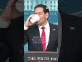Rubio: “You’re not ready for my DJ name”