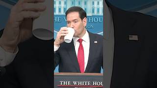 Rubio youre Not Ready For My Dj Name