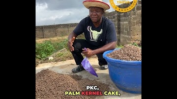 Homemade Catfish Feeds: Locally Produced, Cost-Effective Solution for Catfish Farmers