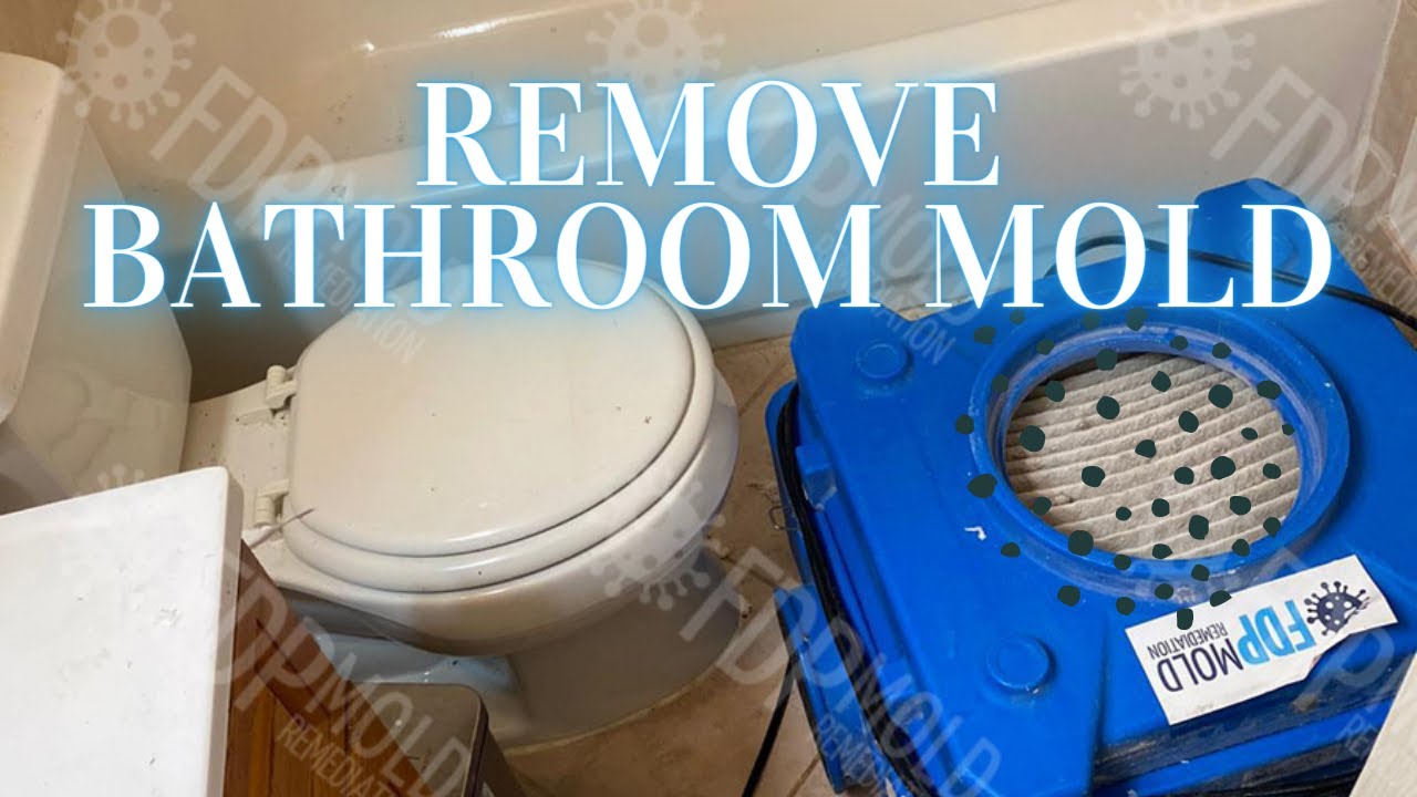 How to Remove Mold in the Bathroom?