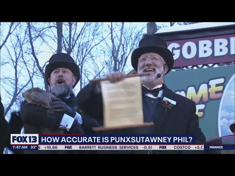 Punxsutawney Phil எவ்வளவு துல்லியமானது?