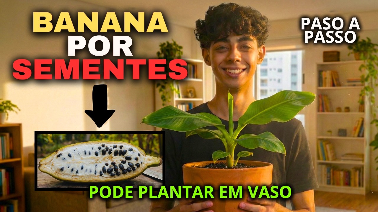 6 Frutíferas Fáceis de Plantar por Sementes - Incluindo Banana!