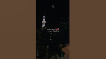 هُوَ الَّذي جَعَلَ لَكُمُ اللَّيلَ لِتَسكُنوا فيهِ وَالنَّهارَ مُبصِرًا | القارئ أنس المالك .
