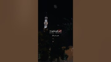 هُوَ الَّذي جَعَلَ لَكُمُ اللَّيلَ لِتَسكُنوا فيهِ وَالنَّهارَ مُبصِرًا | القارئ أنس المالك .