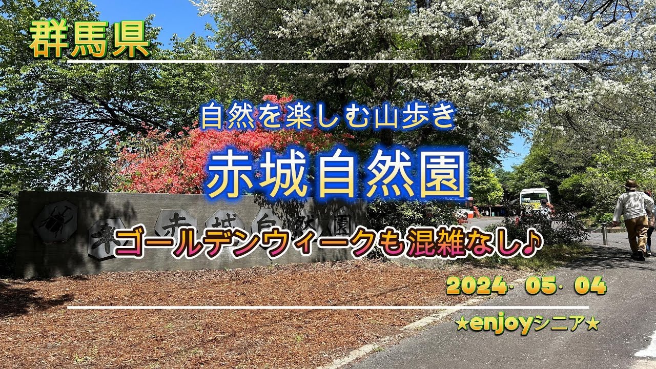 赤城自然園GW240504 ＃赤城自然園＃GWスポット＃自然が好き＃赤城山＃群馬＃シニアライフを楽しむ＃60代の楽しみ - YouTube