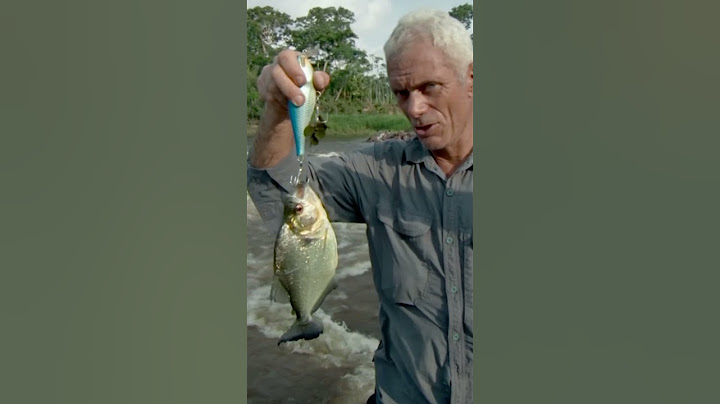 Jeremy Uses His Own Blood To Catch a Piranha | River Monsters | Animal Planet