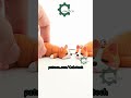Cobotech Sleeping Corgi For Animal Lovers Articulated Keychain #shorts #3dprinting #articulated
