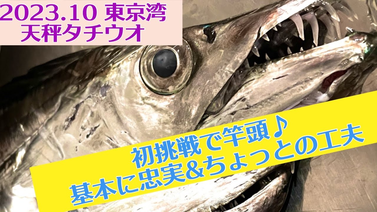 東京湾天秤タチウオ！超基本&ちょい応用で初挑戦竿頭(´∀｀)