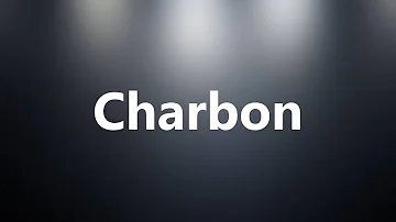 Quel est l'autre nom du charbon ?