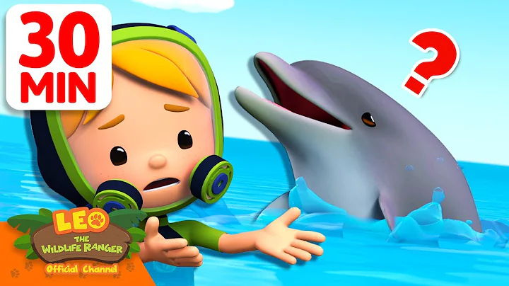 Is This Dolphin Trapped or Playing Tricks? 🐬 | 30 Min | Leo the Wildlife Ranger | #animals