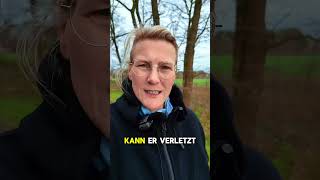 Danke! Für die Unterstützung der Bürger für die Polizei. #einsatz #bundespolizei #polizei #prozess