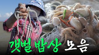 비옥한 갯벌이 키워낸 먹거리는 갯벌 사람들에게 밥벌이와 밥반찬이 된다! 푸짐한 갯벌 밥상 모음집 Korean FoodKBS 방송