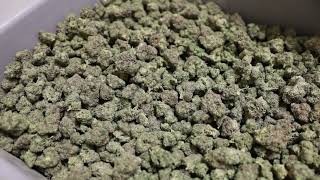 Figr From Plant To Preroll