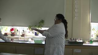 Heathcote Virtual Open Evening 2020 - Science