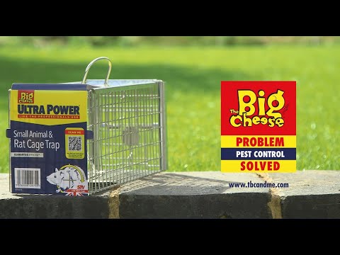 Rat Cage Trap - The Big Cheese Official Manufacturer