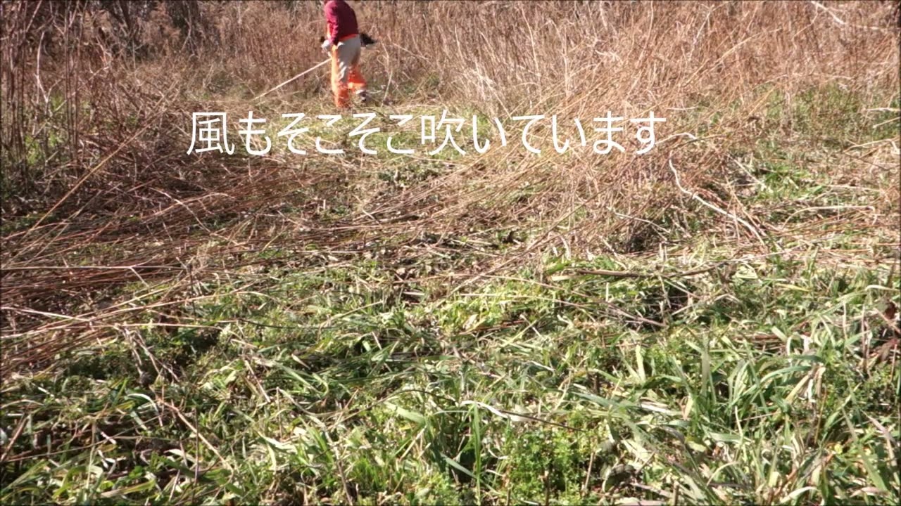 畑で遊ぼう　その３８６　草刈り機発動