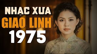 Radio Nhạc Xưa