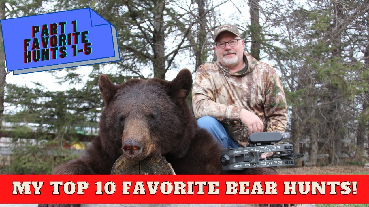 Top 10 favorite bear hunts part 1 Hunts 15 YouTube