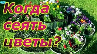 КОГДА ПОСЕЯТЬ ЦВЕТЫ, ЧТО БЫ ОНИ ЗАЦВЕЛИ В АПРЕЛЕ-МАЕ! КОГДА ПОСЕЯТЬ ЦВЕТЫ, ЧТО БЫ ОНИ ЗАЦВЕЛИ В АПРЕЛЕ-МАЕ!