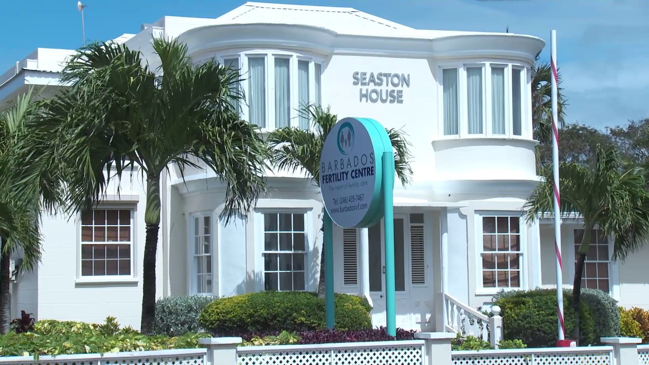 The Barbados IVF Experience -  Step 10 - Egg Retrieval