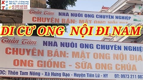 Chuẩn bị đưa ong nội đi Nam