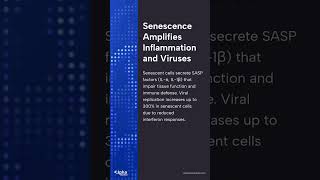 Download Lagu MOTS-c and Cellular Senescence MP3